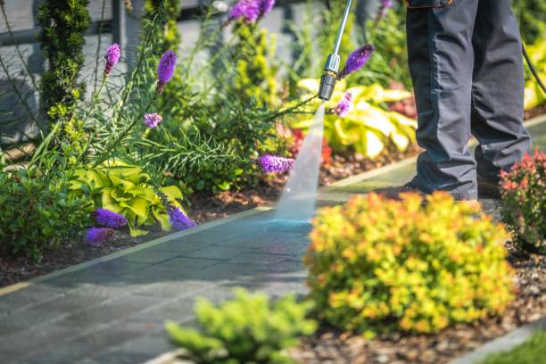 Spring Cleaning in Energy, IL